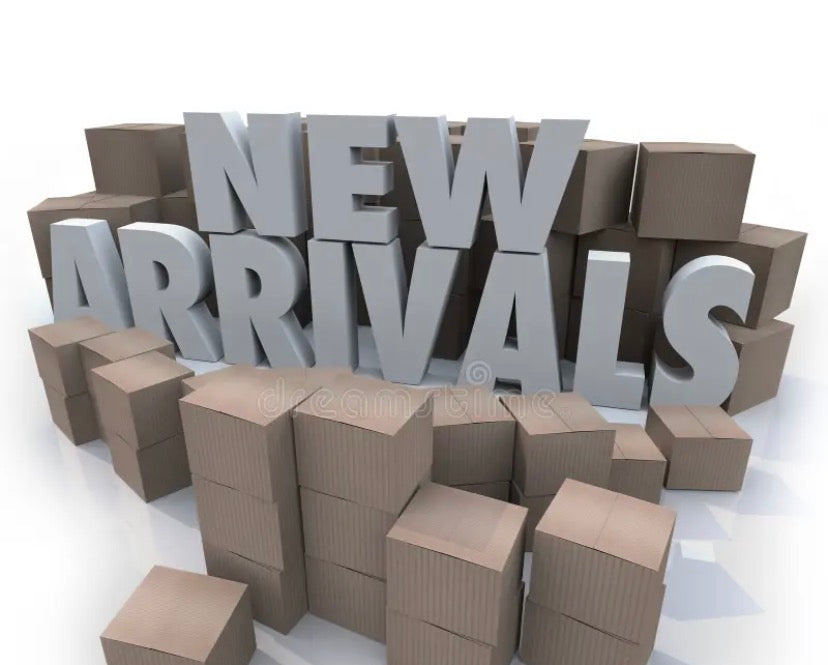 New arrivals at Velora